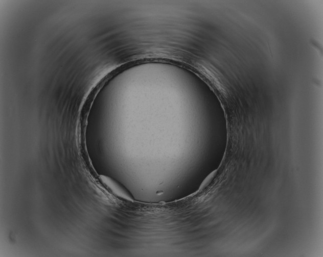 X0000091901076200709191232