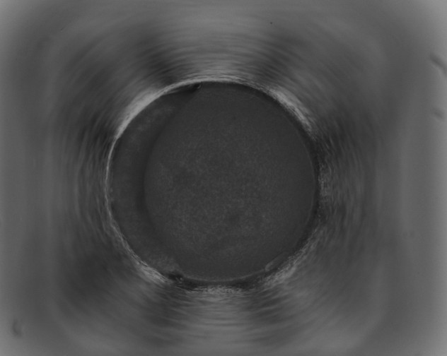 X0000091901077200709191232