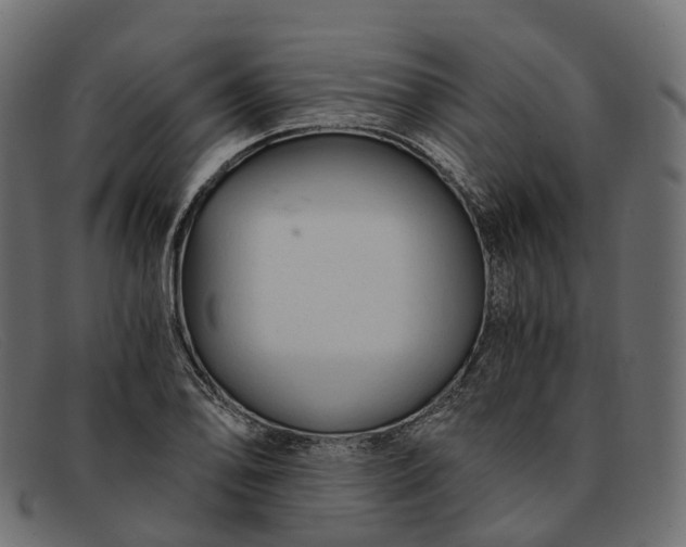 X0000091901078200709191232