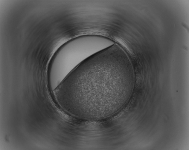 X0000091901079200709191232