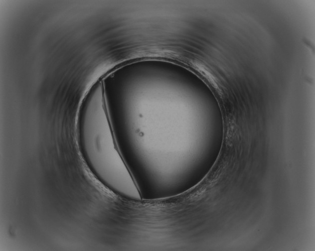 X0000091901080200709191232