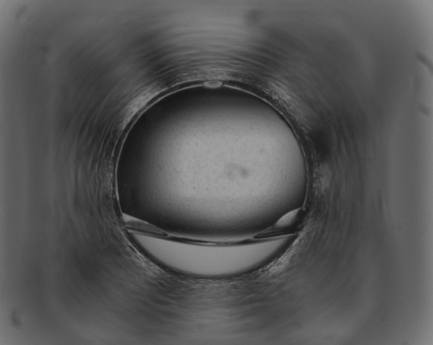 X0000091901081200709191232