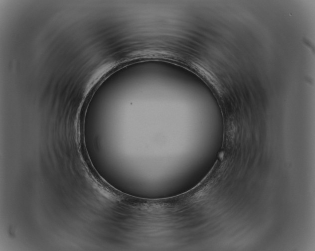 X0000091901082200709191232