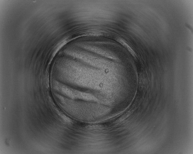 X0000091901083200709191232