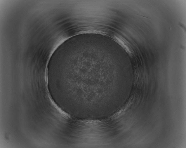 X0000091901084200709191232