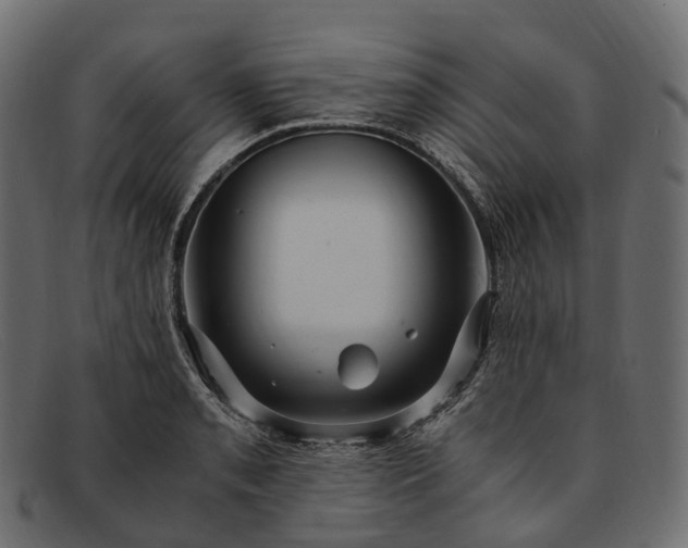 X0000091901085200709191232