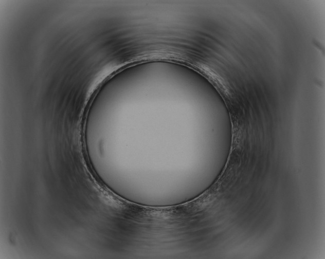 X0000091901086200709191232