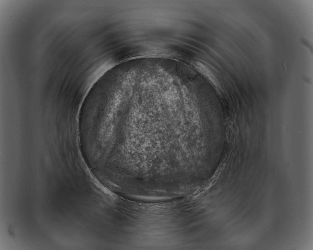 X0000091901087200709191232