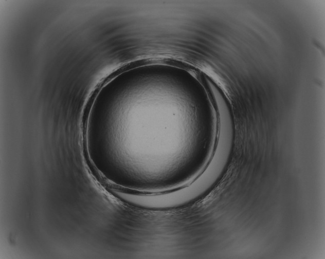 X0000091901088200709191232