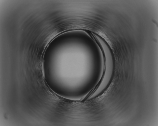 X0000091901089200709191232