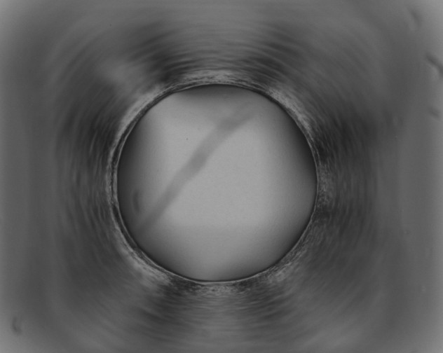 X0000091901090200709191232