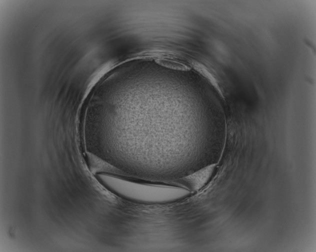 X0000091901091200709191232