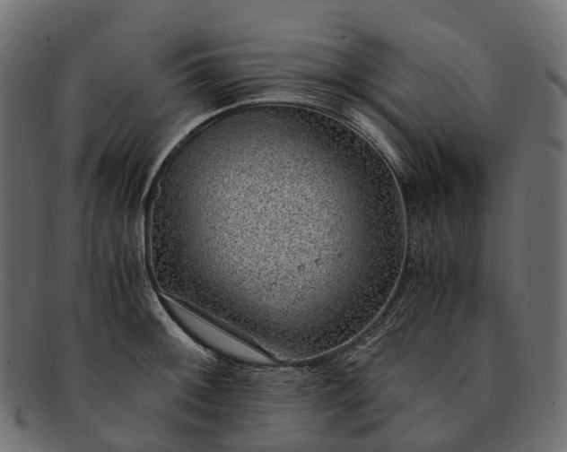 X0000091901092200709191232