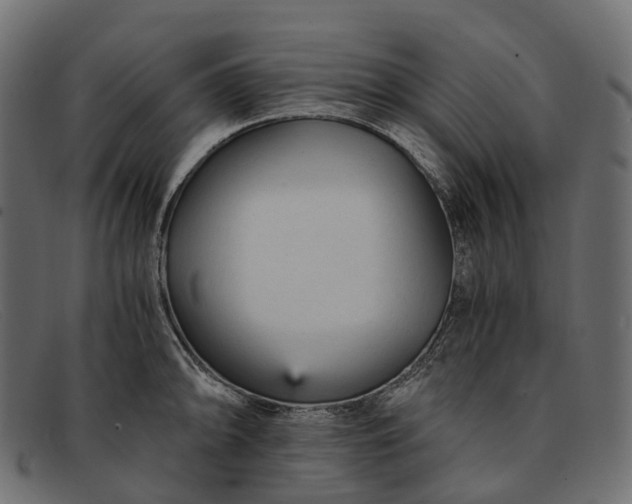 X0000091901094200709191232