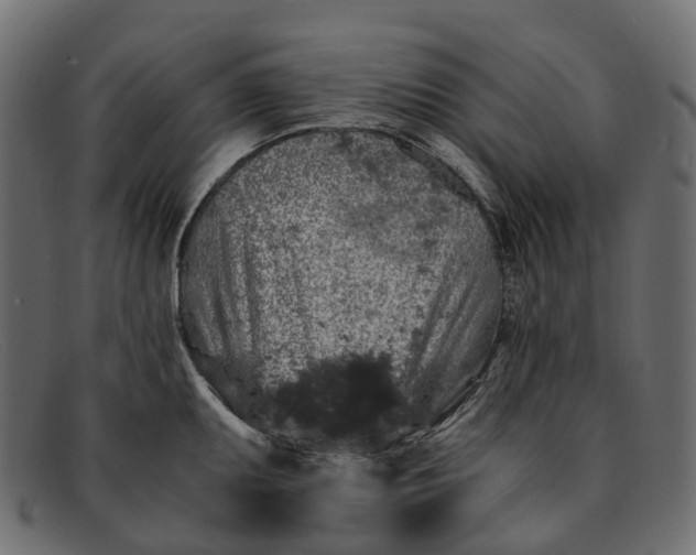 X0000091901095200709191232