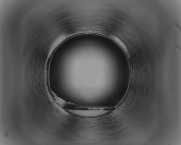 X0000091901096200709191232