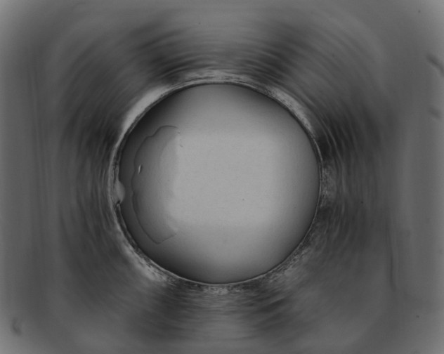 X0000091901098200709191232