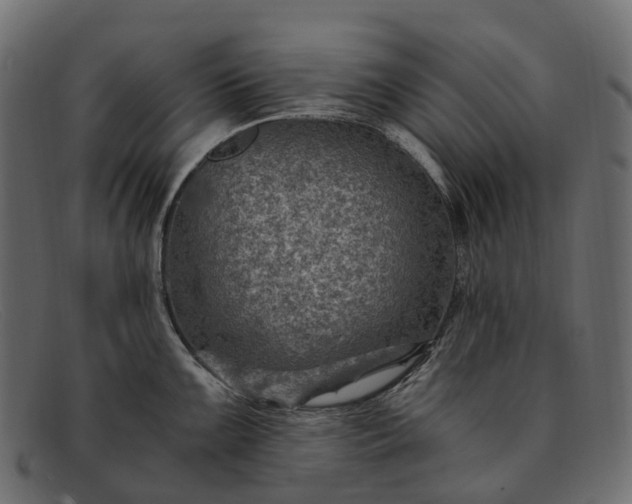 X0000091901099200709191232