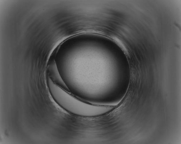 X0000091901100200709191232