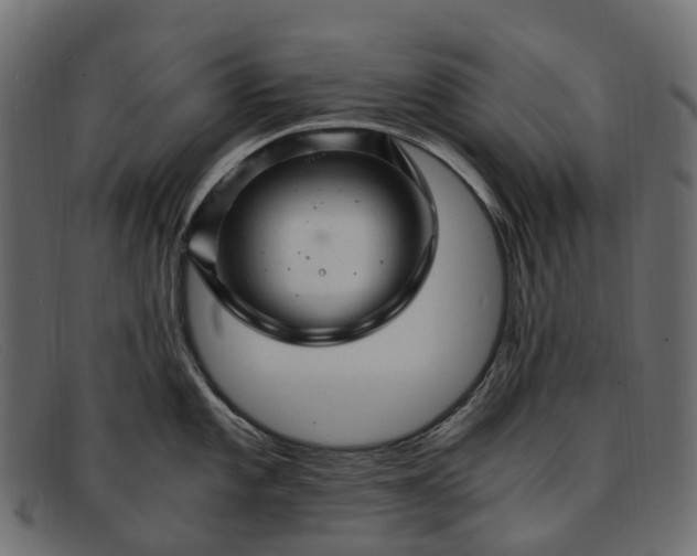 X0000091901101200709191232