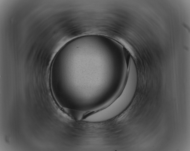 X0000091901102200709191232