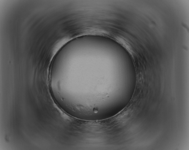 X0000091901103200709191232