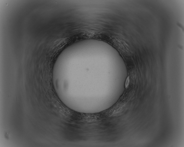 X0000091901105200709191231