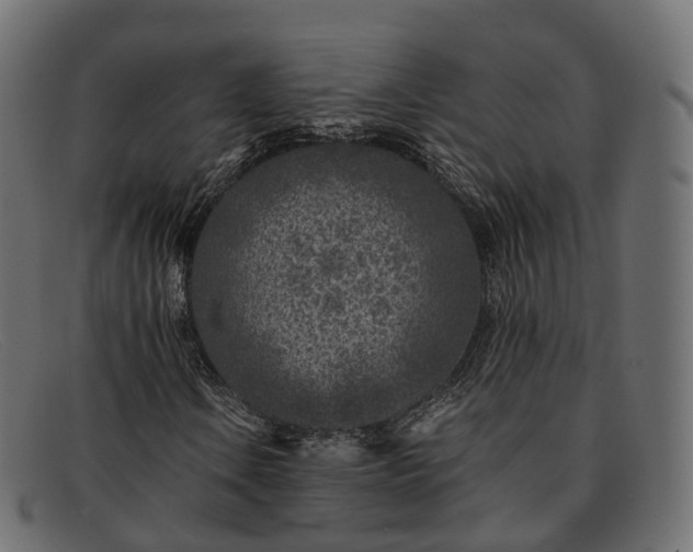 X0000091901106200709191231