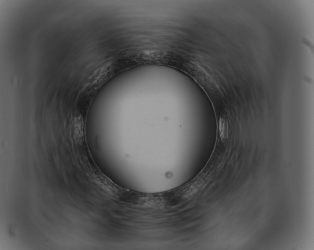 X0000091901107200709191231