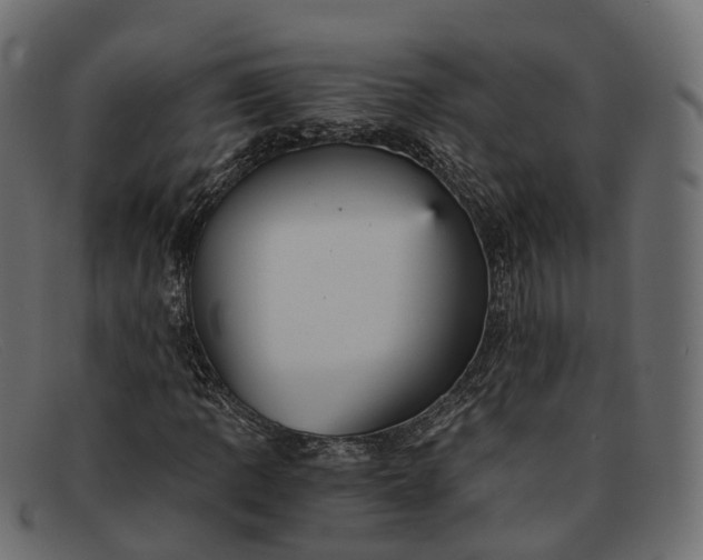 X0000091901109200709191231