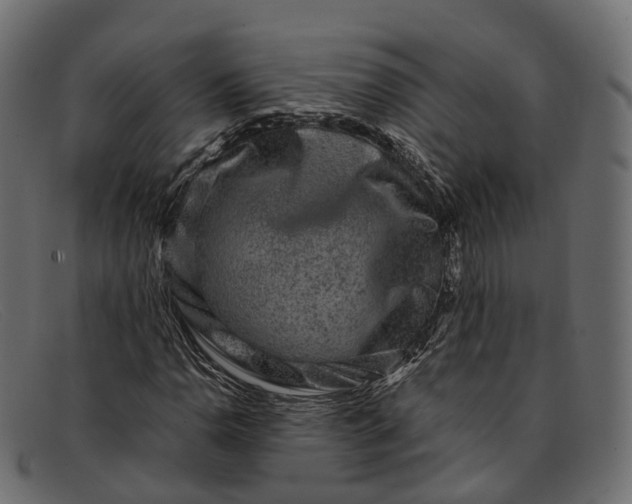 X0000091901110200709191231