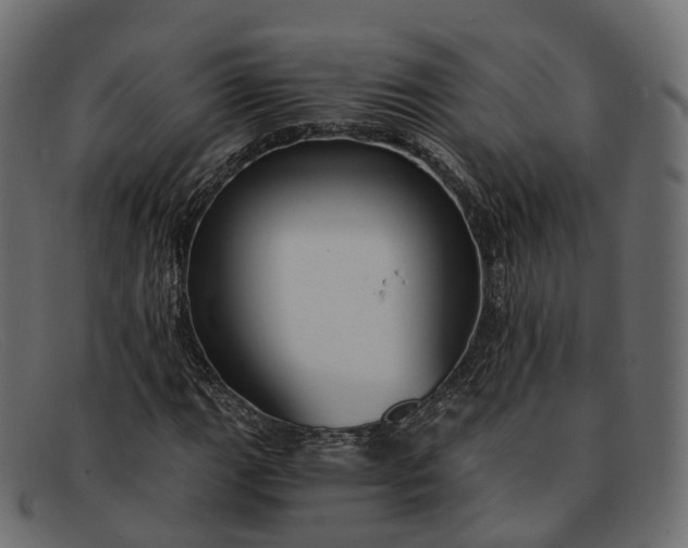 X0000091901111200709191231