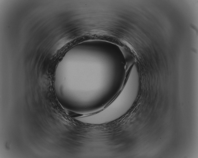 X0000091901112200709191232