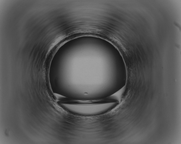 X0000091901114200709191232