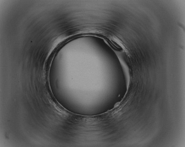 X0000091901116200709191232