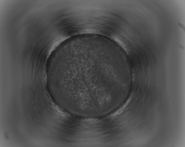 X0000091901117200709191232