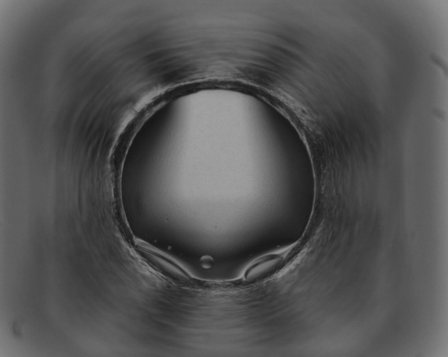 X0000091901118200709191232