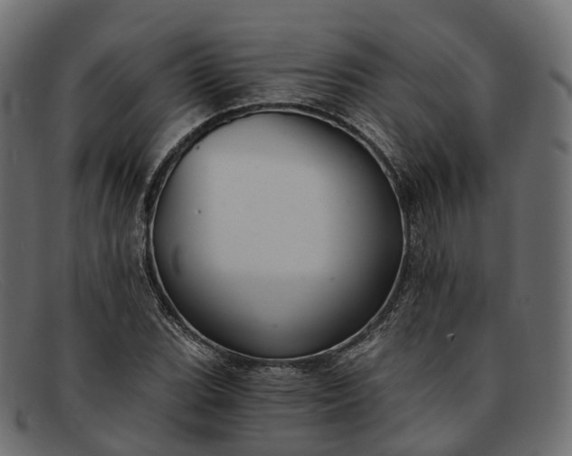 X0000091901119200709191232