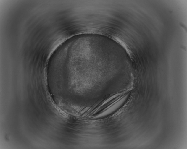 X0000091901120200709191232