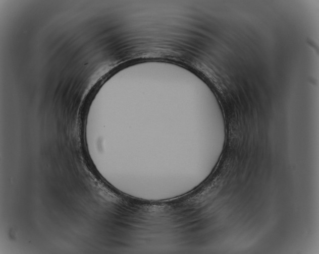 X0000091901122200709191232