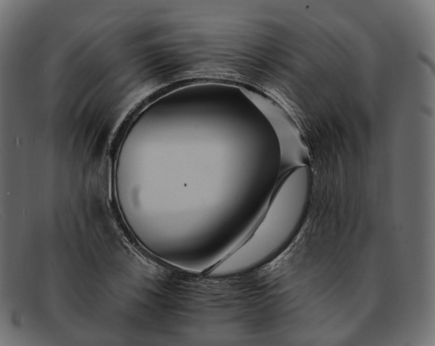 X0000091901123200709191232