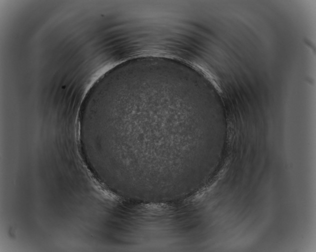 X0000091901125200709191232