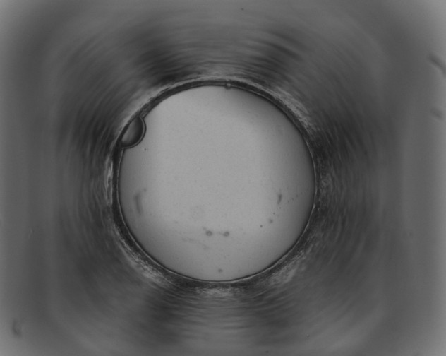 X0000091901126200709191232