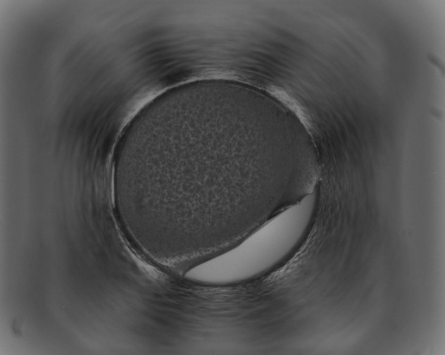 X0000091901127200709191232