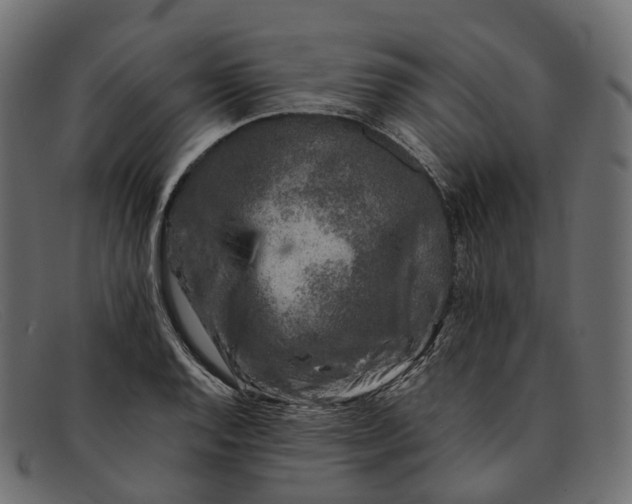 X0000091901128200709191232