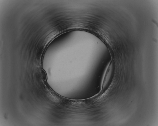 X0000091901129200709191232