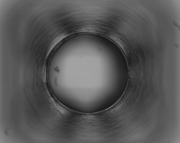 X0000091901131200709191232