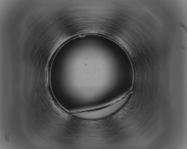 X0000091901132200709191232