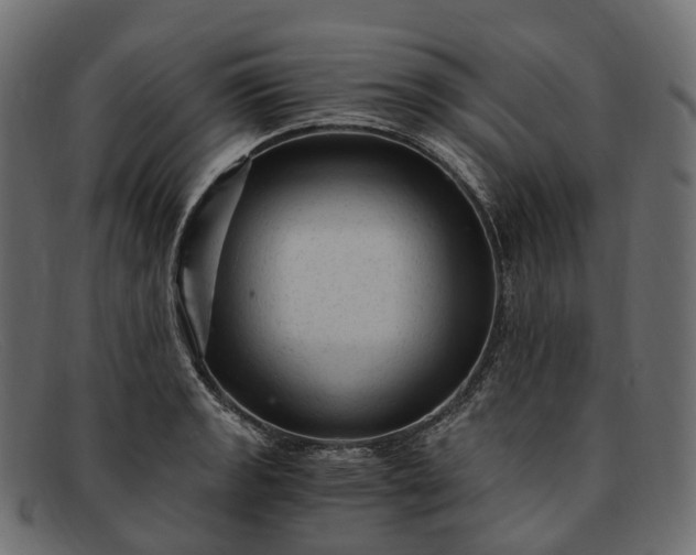 X0000091901133200709191232