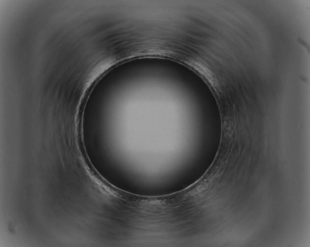 X0000091901135200709191232